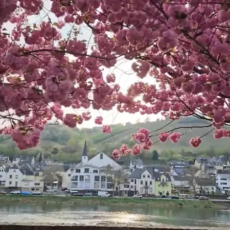 Lindenhof Zell an der Mosel