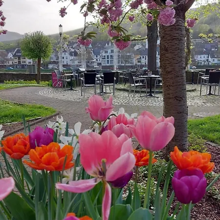 Lindenhof * Zell an der Mosel