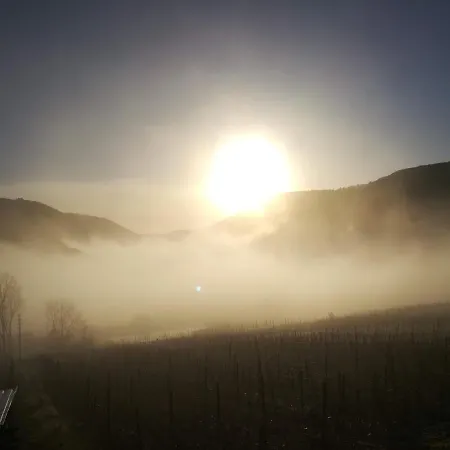 Apartamento Lindenhof