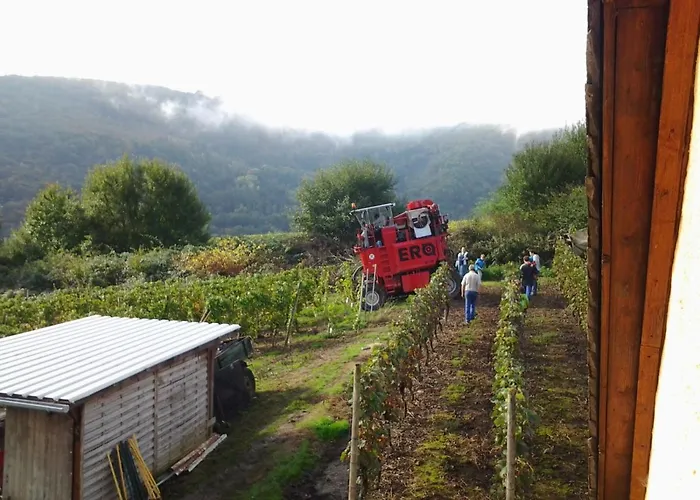 דירה Lindenhof *