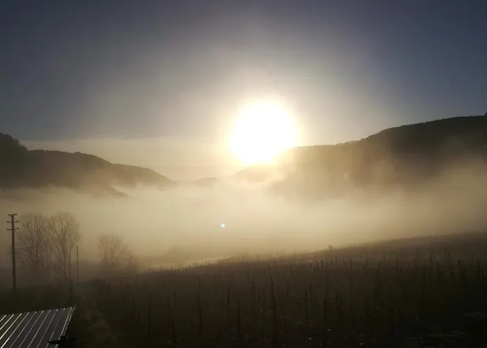 Appartamento Lindenhof